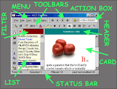 AZZ Cardfile Bildschirm Elemente